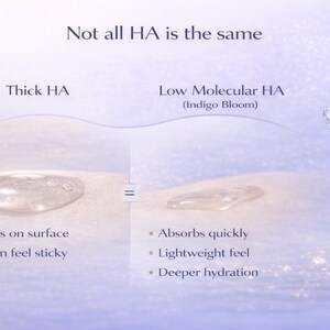 May include: An image comparing two types of HA (Hyaluronic Acid). The left side shows "Thick HA" as a droplet that sits on the surface and feels sticky. The right side shows "Low Molecular HA" that absorbs quickly, has a lightweight feel, and provides deeper hydration.