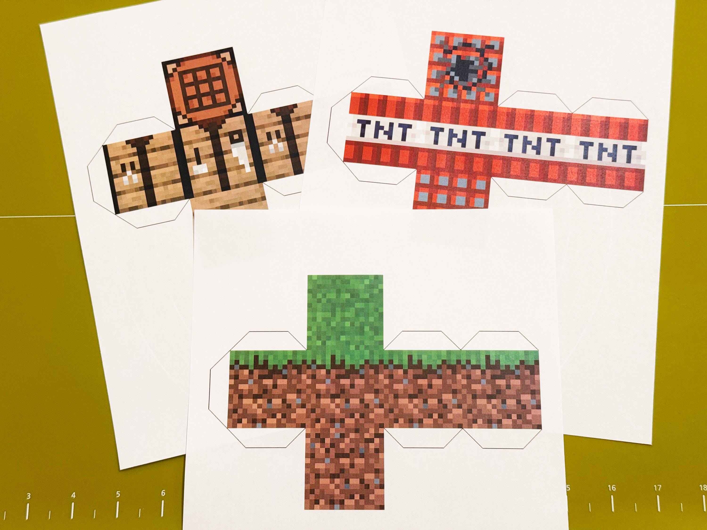 Minecraft Block Papercraft Set (12)
