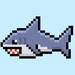 Hacky Shark