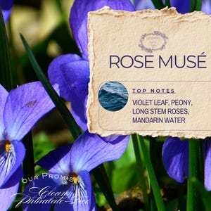 Rose Musé Perfume Roll on | Perfect Rose & Leather Fragrance | Phthalate-Free Perfume Oil | Alcohol-Free by: Lavender Rose Company