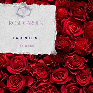 Rose Garden | Phthalate-Free Perfume Oil | Alcohol-Free| Rose Perfume Oil | Divine Rose Perfume Oil | English Rose Garden Fragrance