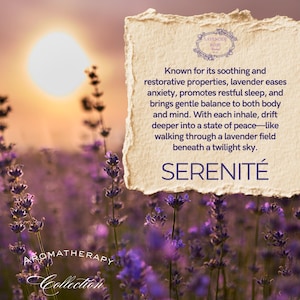 Serenité (French for Serenity) Lavender | Aromatherapy | 100% Therapeutic Blend Essential Oil Blend By: Lavender Rose Company