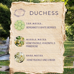 DUCHESS  by Lavender Rose Company  | Phthalate-Free Perfume Oil | Alcohol-Free | Honeysuckle Perfume Oil | Soft Feminine Perfume