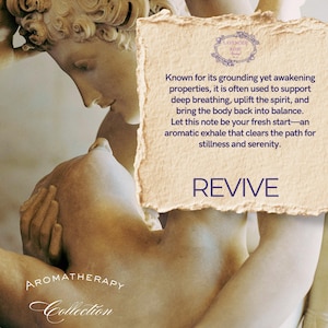 Revive | Eucalyptus | Aromatherapy | 100% Therapeutic Blend Essential Oil Blend By: Lavender Rose Company