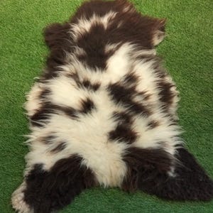 May include: A sheepskin rug with a natural pattern of dark brown and white. The rug has a shaggy texture and an irregular shape, with the fleece in a mix of colors. The rug is placed on a green surface.