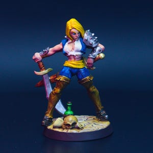 Mercenary Sword Fighter | Painted Miniature for DnD | Hero / Player Character - Medium | Female Pirate Warrior / Blade Dancer | Pathfinder