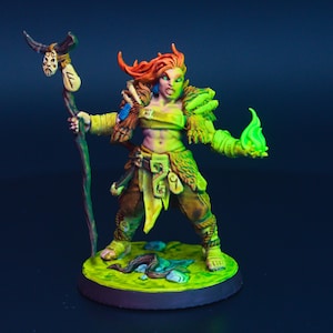 Feywild Druid | Painted Miniature for DnD | Hero / Player Character - Medium | Female Woman Spellcaster / Mage / Summoner | Daggerheart AG
