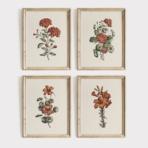 Può includere: Un set di quattro stampe artistiche rettangolari con cornici in legno chiaro, ognuna raffigurante un'illustrazione botanica di fiori arancioni e rossi con foglie verdi su sfondo color crema, disposte in una griglia due per due.