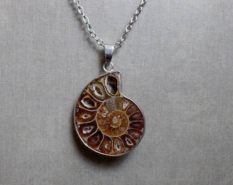 Ammonite Fossil Shell Necklace - Ammonite Pendant - No. 1