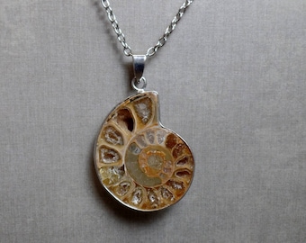 Ammonite Fossil Shell Necklace - Ammonite Pendant - No. 4