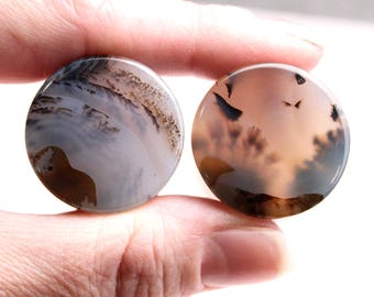 Dendritic Agate Double Flare Stone Plugs – Rare Natural Custom Agate Gauges - Pick Your Pair