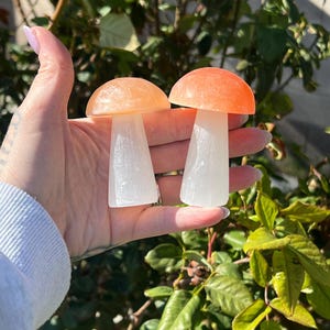 May include: Two small, carved, orange and white selenite mushroom shaped crystal figurines.