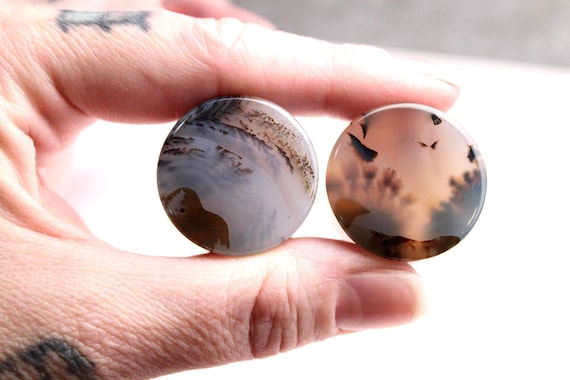 Dendritic Agate Double Flare Stone Plugs – Rare Natural Custom Agate Gauges - Pick Your Pair