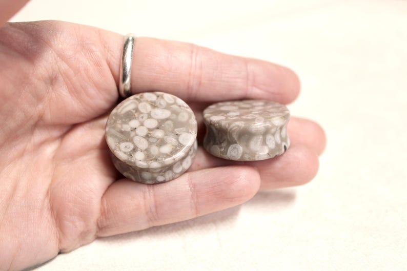 Lily Fossil Jasper Stone Double Flare Plugs Pair Natural Stone of Gauges