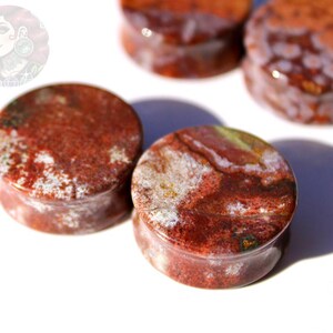 Orbicular Jasper Double Flare Plugs – Natural Stone Ear Gauges Pair