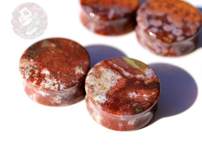 Orbicular Jasper Double Flare Plugs – Natural Stone Ear Gauges Pair