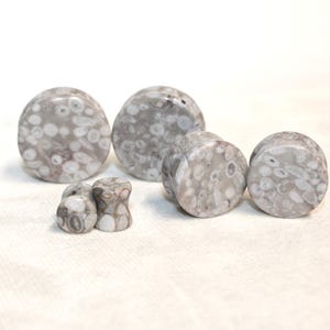 Lily Fossil Jasper Stone Double Flare Plugs Pair Natural Stone of Gauges
