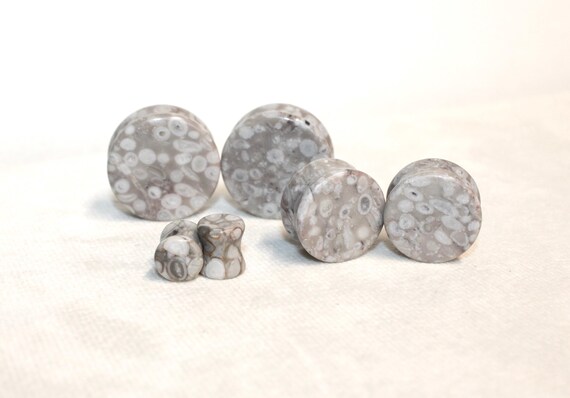 Lily Fossil Jasper Double Flare Plugs Pair Natural Stone Gauges
