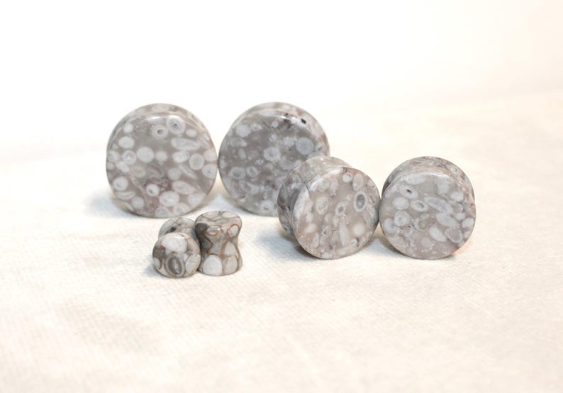 Lily Fossil Jasper Stone Double Flare Plugs Pair Natural Stone of Gauges
