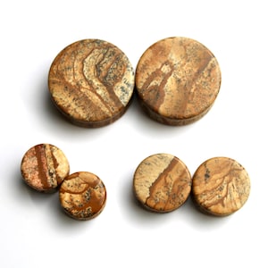 May include: Six round, natural stone plugs in varying sizes. The plugs feature a warm color palette of tan, brown, and cream, with unique swirling patterns. The plugs are displayed on a white background.
