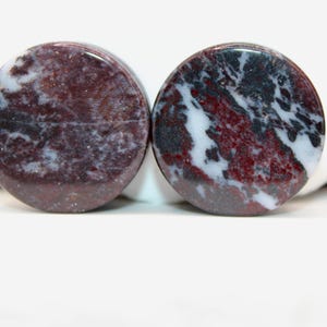 Brecciated Jasper Stone Plugs ~ Black- White- Red Plugs Double Flare Pair