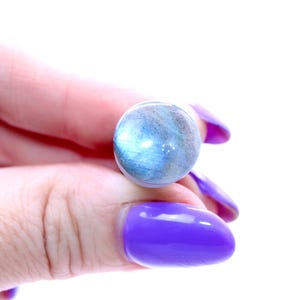 White Labradorite Single Flare Stone Plugs Grade B Pair Rainbow Moonstone