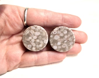 Lily Fossil Jasper Double Flare Plugs Pair Natural Stone Gauges