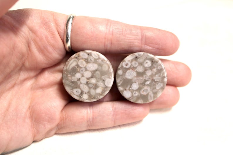 Lily Fossil Jasper Stone Double Flare Plugs Pair Natural Stone of Gauges