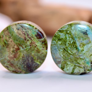 May include: A pair of green and brown stone ear gauges with a marbled pattern.