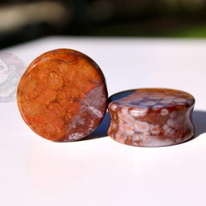 Orbicular Jasper Double Flare Plugs – Natural Stone Ear Gauges Pair