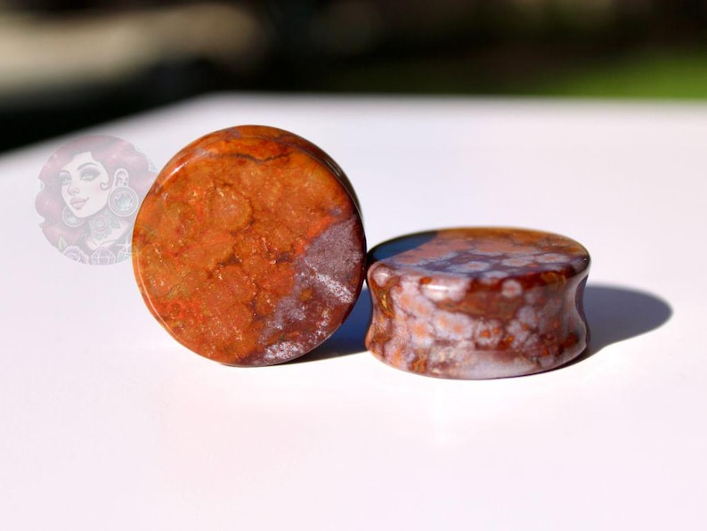 Orbicular Jasper Double Flare Plugs – Natural Stone Ear Gauges Pair