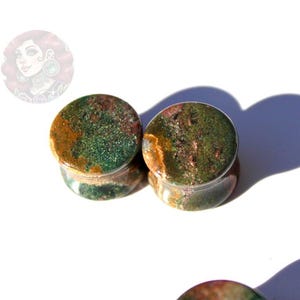 Orbicular Jasper Double Flare Plugs – Natural Stone Ear Gauges Pair