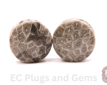 Indonesian Fossilized Coral Plugs Double Flared PAIR 5mm-32mm