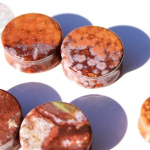 Orbicular Jasper Double Flare Plugs – Natural Stone Ear Gauges Pair