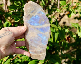 Moonstone Slab – High Flash Polished Crystal Slice You Pick Size