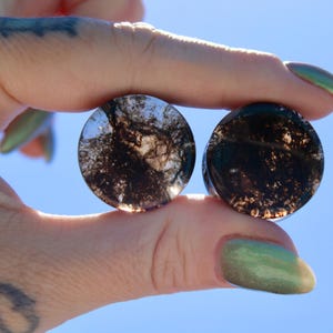 Black Smokey Glass Double Flare Plugs Pair