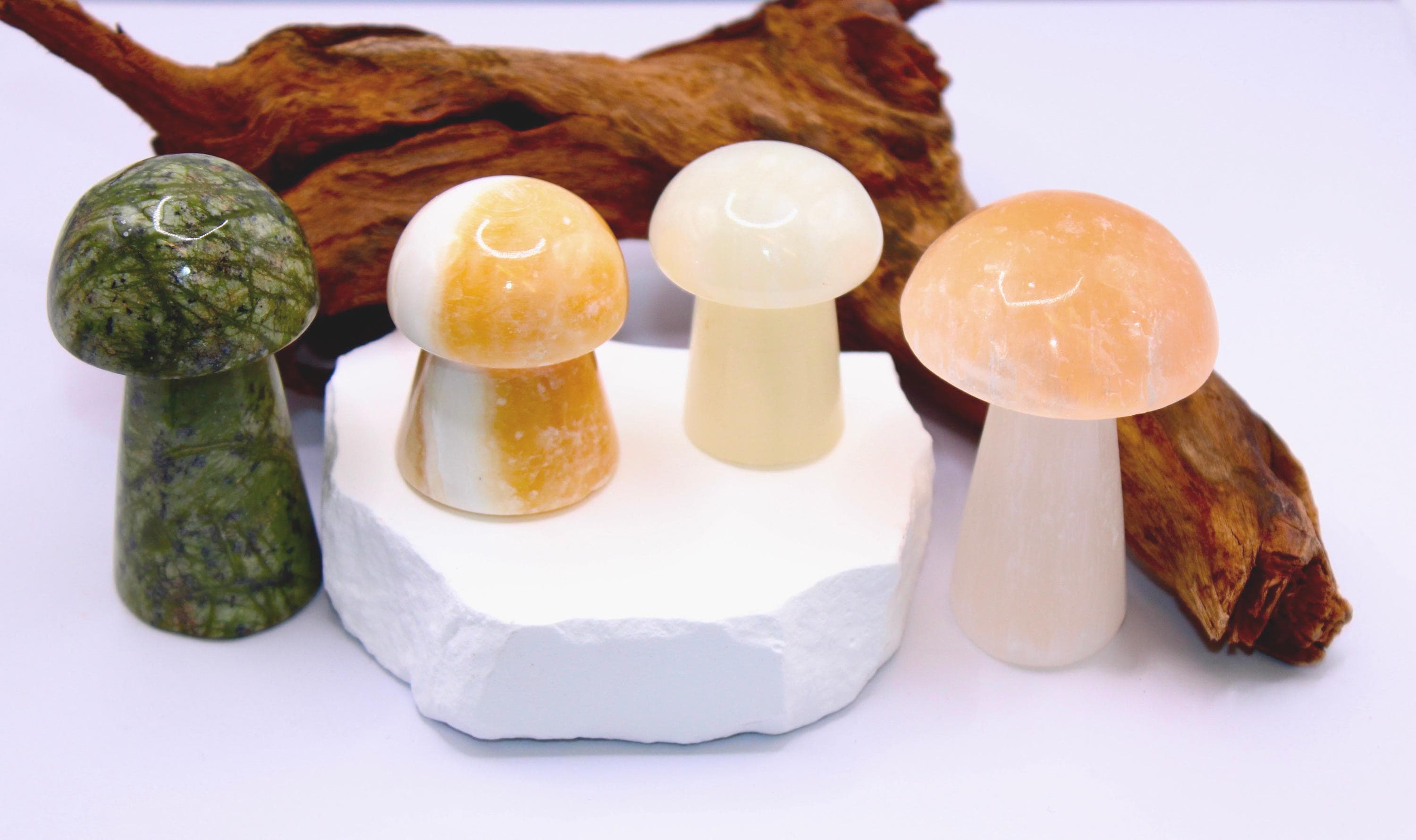 Crystal Mushroom Set Stone Carvings – Serpentine, Selenite, Mango Calcite & Green Calcite