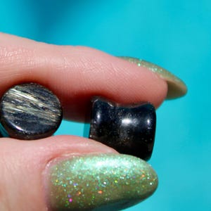 Astrophyllite FLASH Double Flare Plugs Pair
