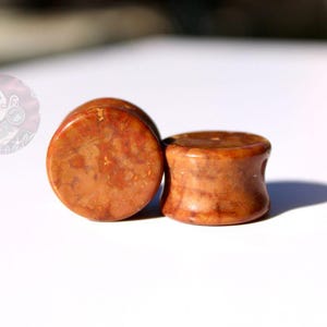 Orbicular Jasper Double Flare Plugs – Natural Stone Ear Gauges Pair