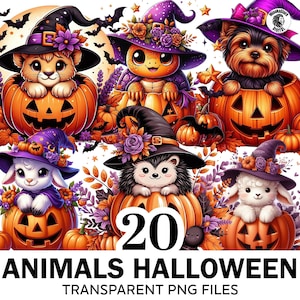 Halloween Animals In Pumpkin Clipart Bundle, 20 PNG Halloween, Baby Animal Clipart, Animal Png, Spooky Vibes Clipart, Cute Halloween Png