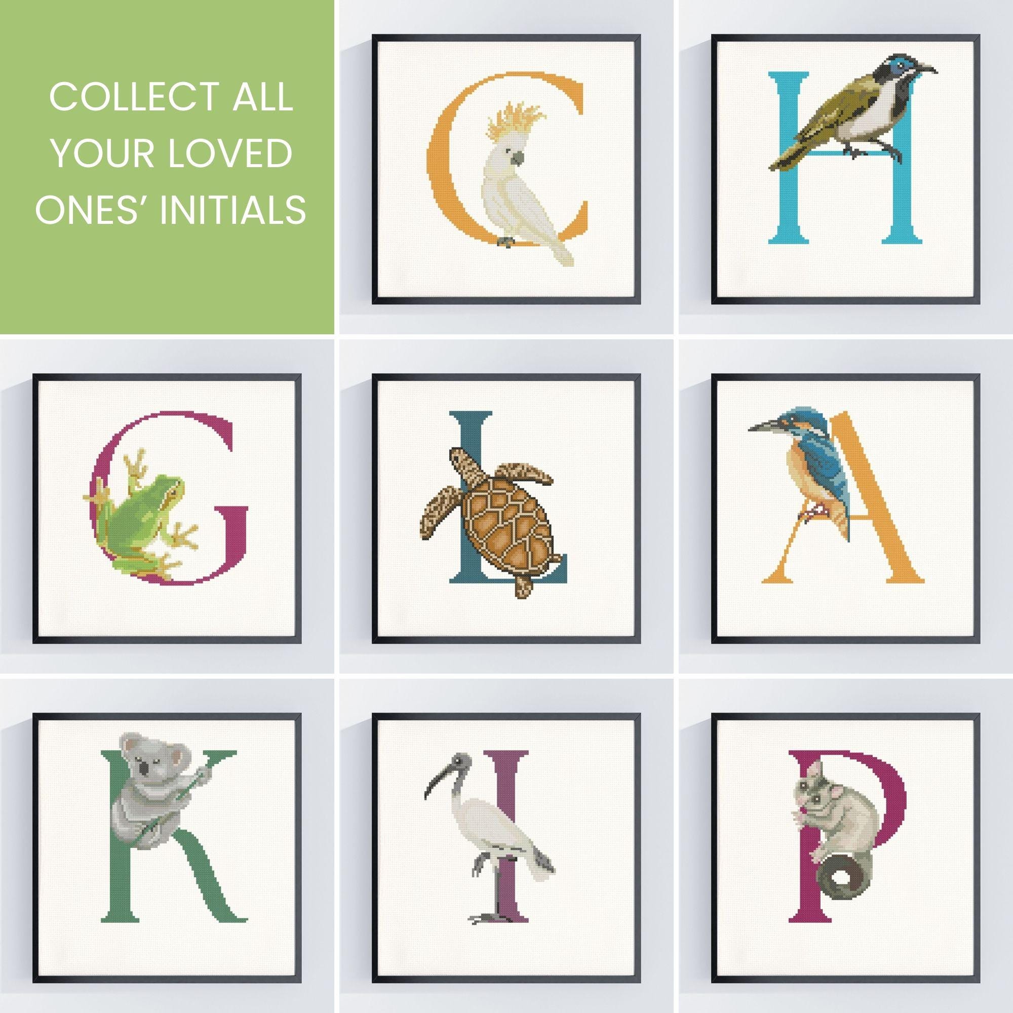 Australian Cross Stitch Pattern | R is for Rainbow Lorikeet | Letter R ...