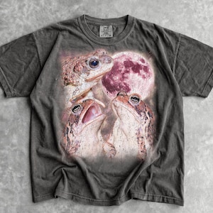 May include: A charcoal gray short-sleeve t-shirt featuring a graphic print of three brown toads positioned beneath a large, textured, reddish-pink full moon. The shirt has a crew neckline and a faded, washed-out appearance across the fabric.