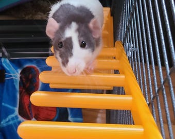Plateforme d'escalade pour animaux de compagnie en 7 marches