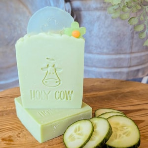 May include: A rectangular bar of light green soap featuring an embossed cow head and the text HOLY COW. The soap is topped with a translucent circular accent and a small green flower with an orange center, accompanied by three cucumber slices.