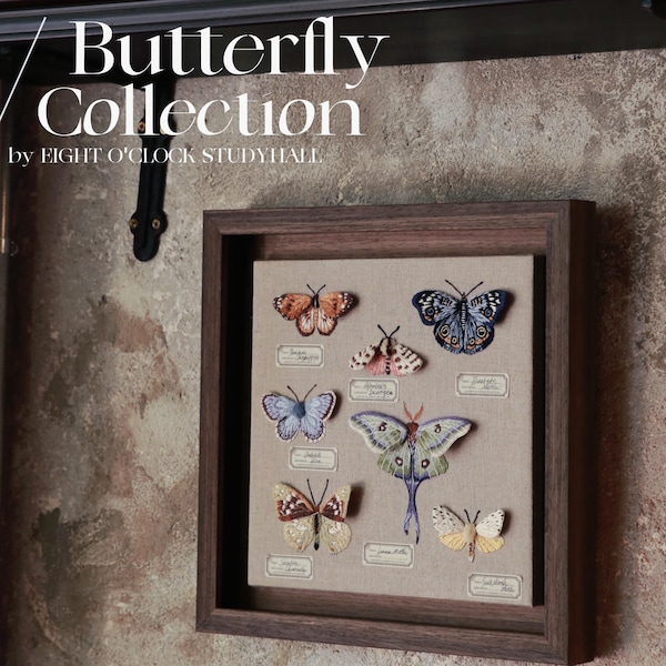 Kit de bricolaje para bordar un marco de mariposa: Manualidad para principiantes con tutorial