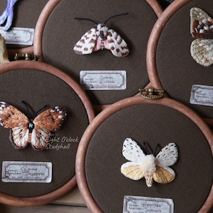 May include: A collection of embroidered butterfly artworks in wooden hoops. Each hoop showcases a unique butterfly design, meticulously stitched in diverse colours, set against a brown fabric. Small labels with text are positioned beneath each butterfly.