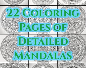 Relaxing Mandala Coloring Book for Adults | 22 Intricate & Detailed Pages for Stress Relief and Mindfulness | Printable Coloring Pages
