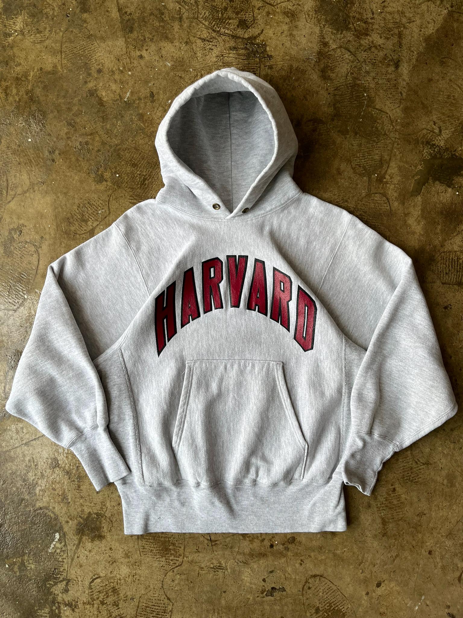 70s Champion Reverse Weave Hoodie - Etsy