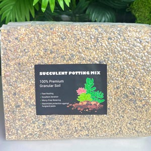 May include: A clear plastic bag filled with succulent potting mix. The label reads "SUCCULENT POTTING MIX" and "100% Premium Granular Soil." The label also features a graphic of succulents and lists benefits like fast rooting and worry-free watering.