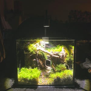 Live Moss Terrarium Kit – Mini Mountain Landscape, DIY Nature Scene, Eco Home Decor Gift for Plant Lovers